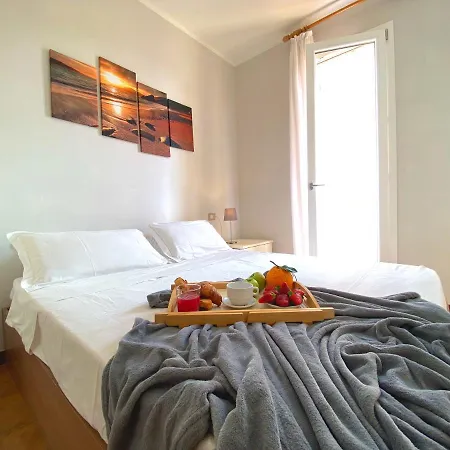 Homey Experience - Coast Garden & Design *